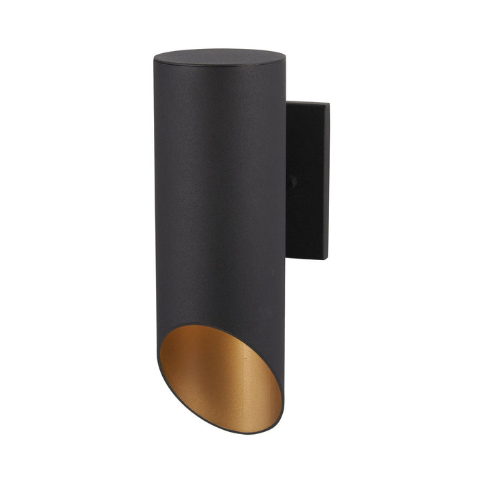 Pineview Slope Outdoor Wall Light in Black with Gold.
