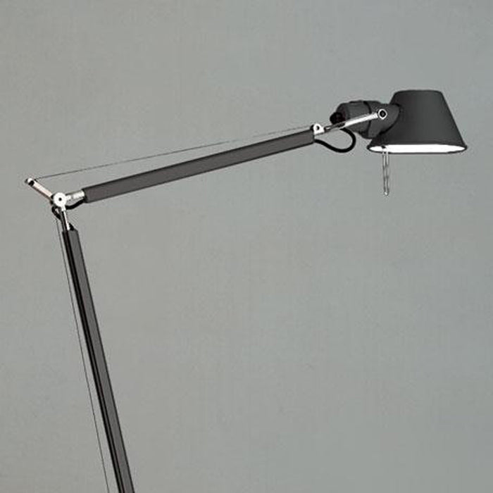 Tolomeo Mini Table Lamp in Detail.