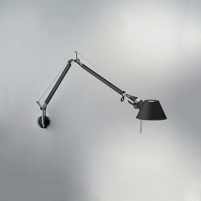 Tolomeo Wall Light in Detail.