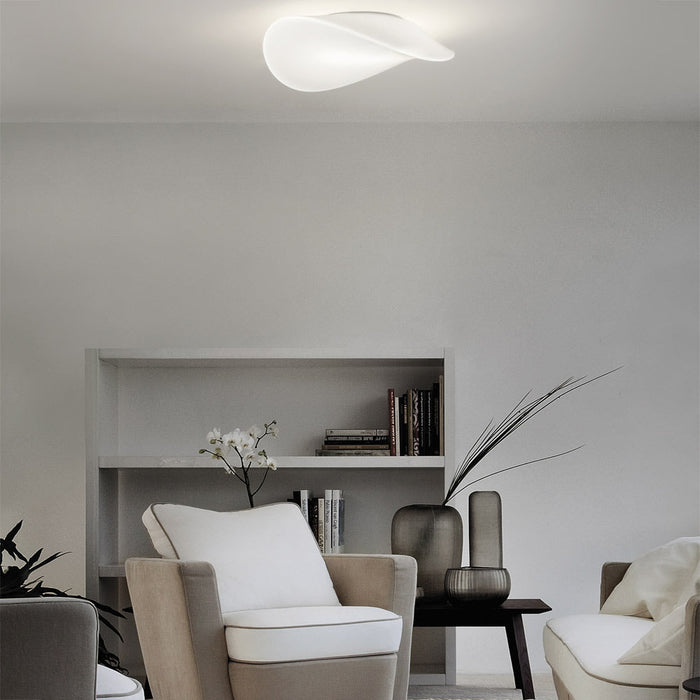 Balance Ceiling/Wall Light in living room.