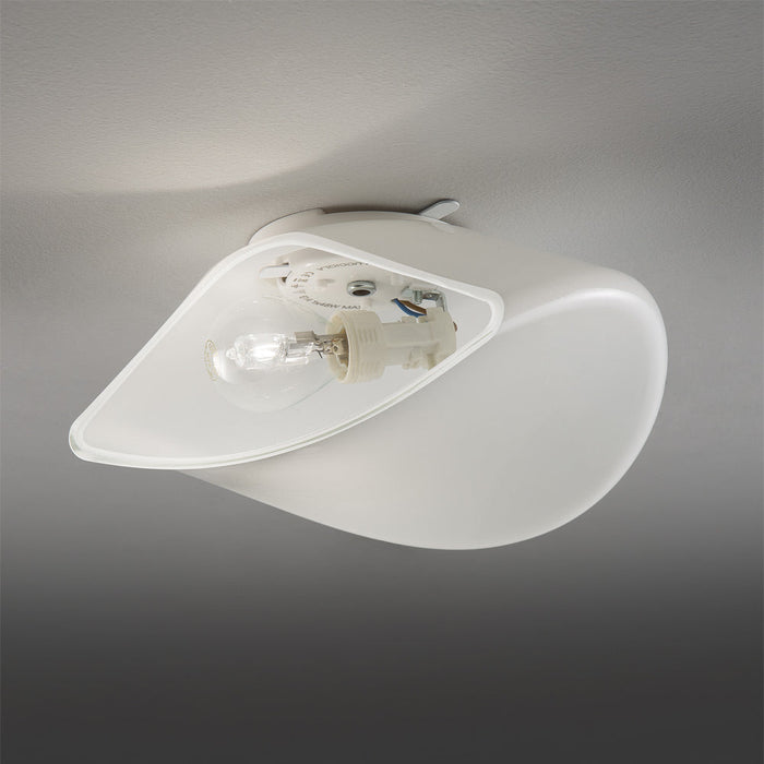 Balance Ceiling/Wall Light in Detail.
