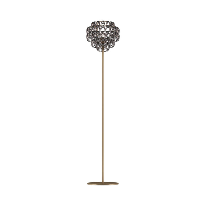 Minigiogali Floor Lamp in Crystal Black Nickel/Matt Bronze.