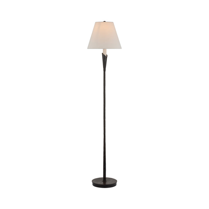 Aiden Accent Floor Lamp in Aged Iron.