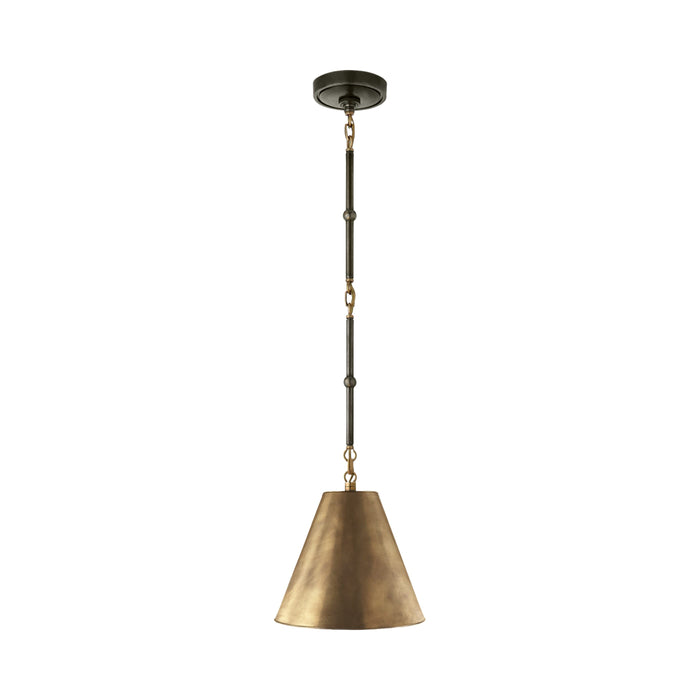 Goodman Pendant Light in Bronze with Antique Brass/Antique Brass (X-Small).