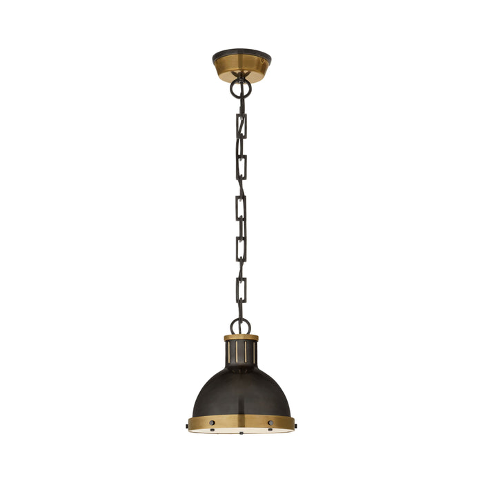Hicks Pendant Light in Dome/Bronze with Antique Brass (Small).