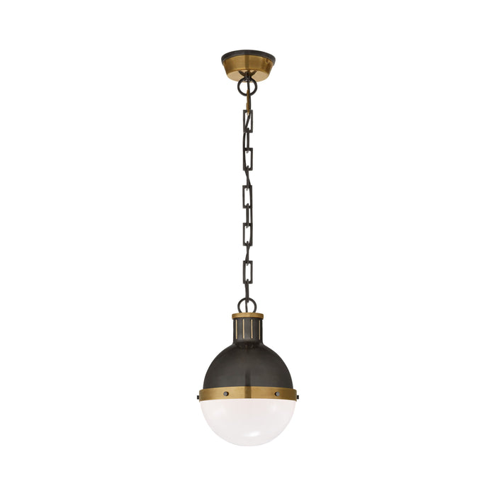 Hicks Pendant Light in Captured Globe/Bronze with Antique Brass (Small).